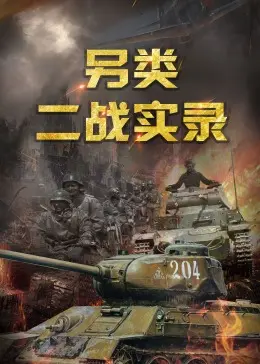 《另类二战实录》全集高清完整版在线观看与剧情解析