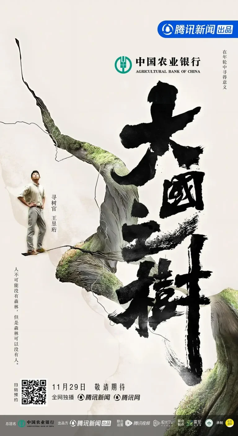 《大国之树》全集高清完整版在线观看与剧情解析