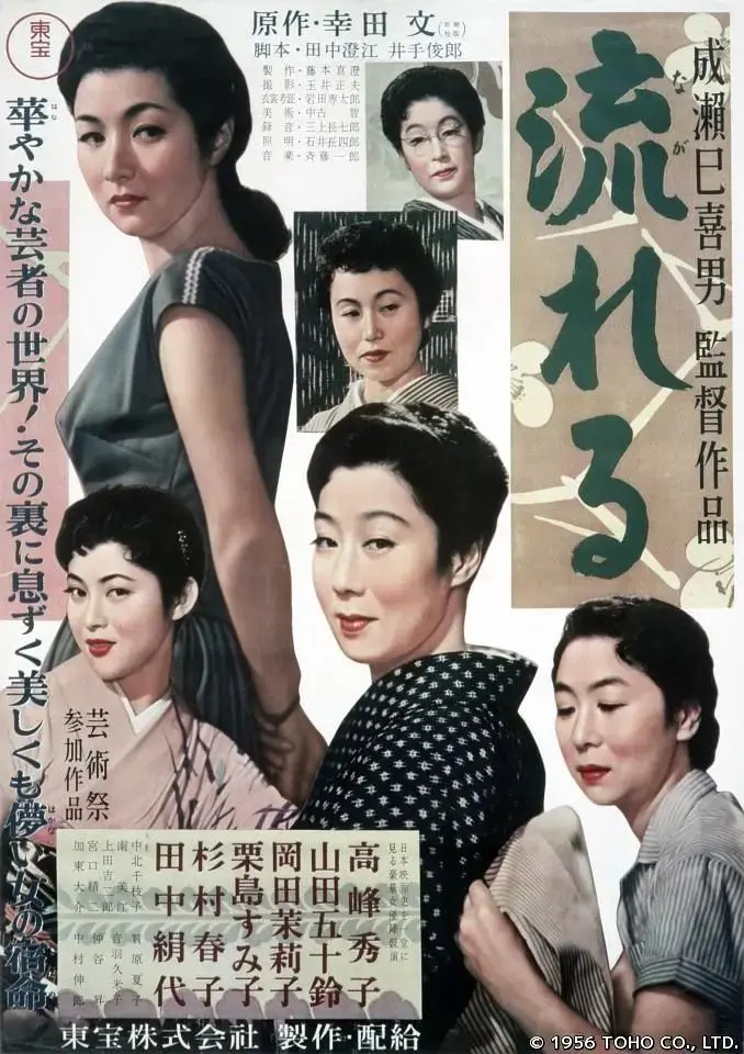 《流浪记》全集高清完整版在线观看与剧情解析