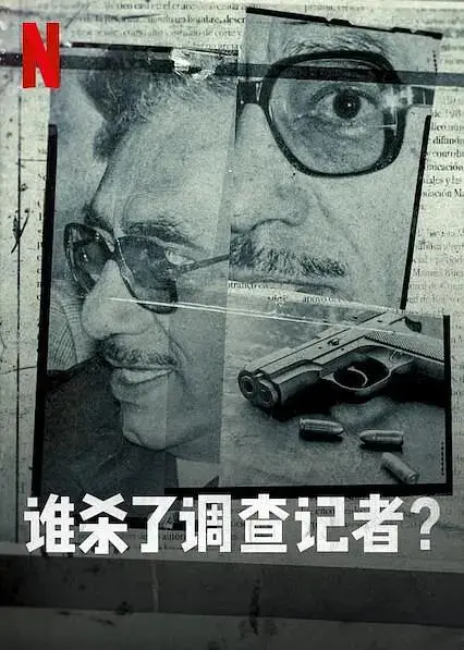 《谁杀了调查记者》全集高清完整版在线观看与剧情解析