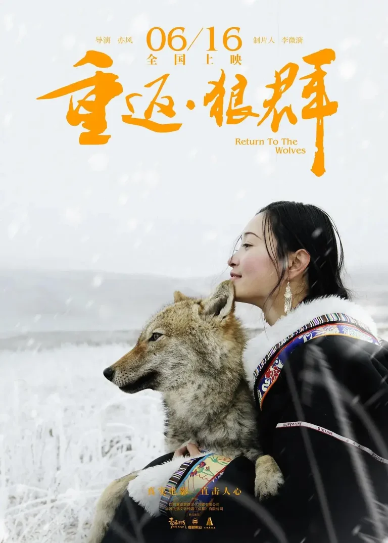 《重返·狼群》全集高清完整版在线观看与剧情解析