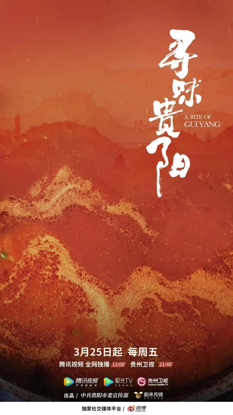 《寻味贵阳》全集高清完整版在线观看与剧情解析