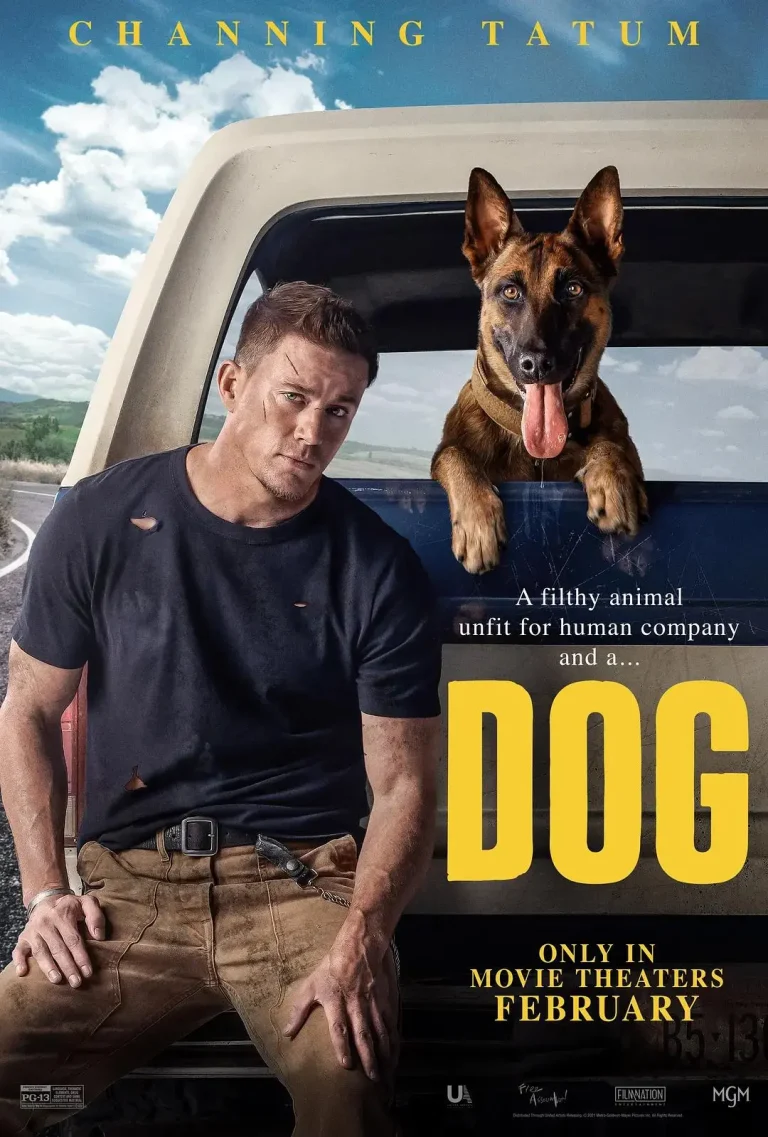 《忠犬2022》全集高清完整版在线观看与剧情解析