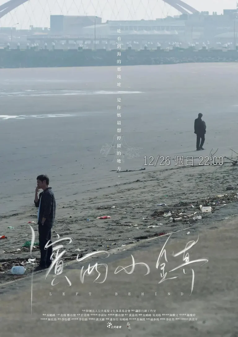 《滨西小镇》全集高清完整版在线观看与剧情解析