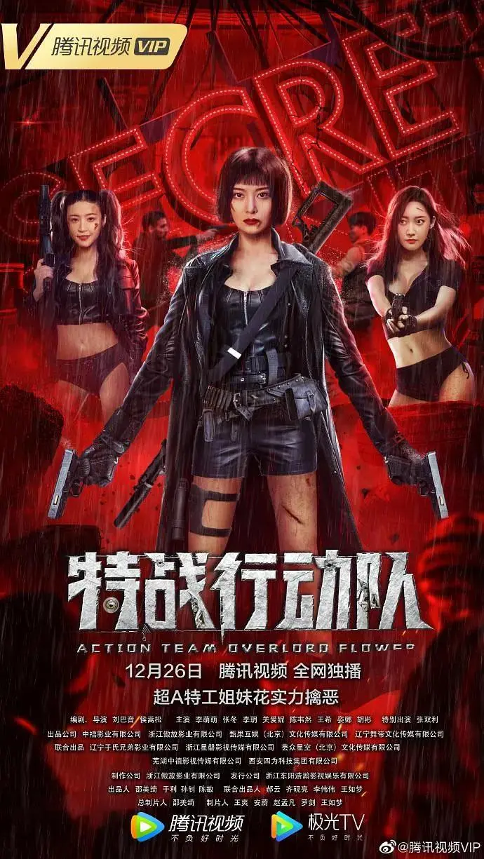 《特战行动队》全集高清完整版在线观看与剧情解析