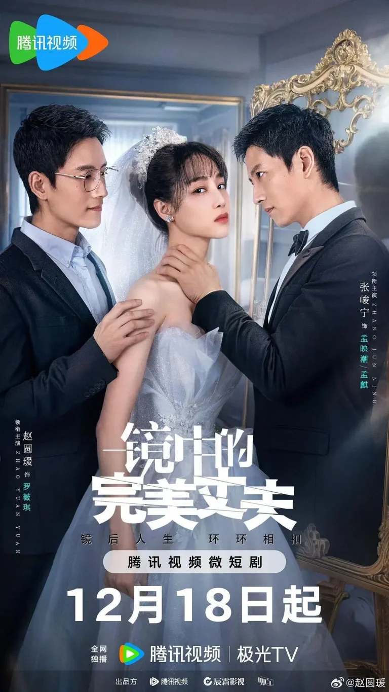 《镜中的完美丈夫》全集高清完整版在线观看与剧情解析